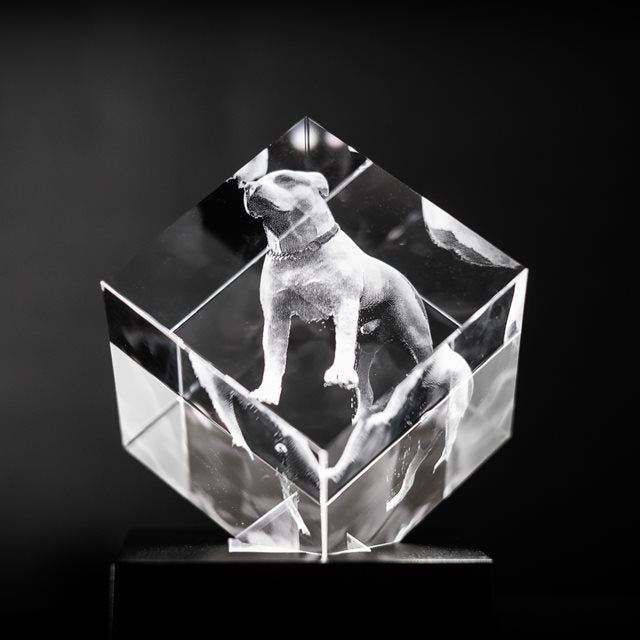 Hunde minne i krystall
