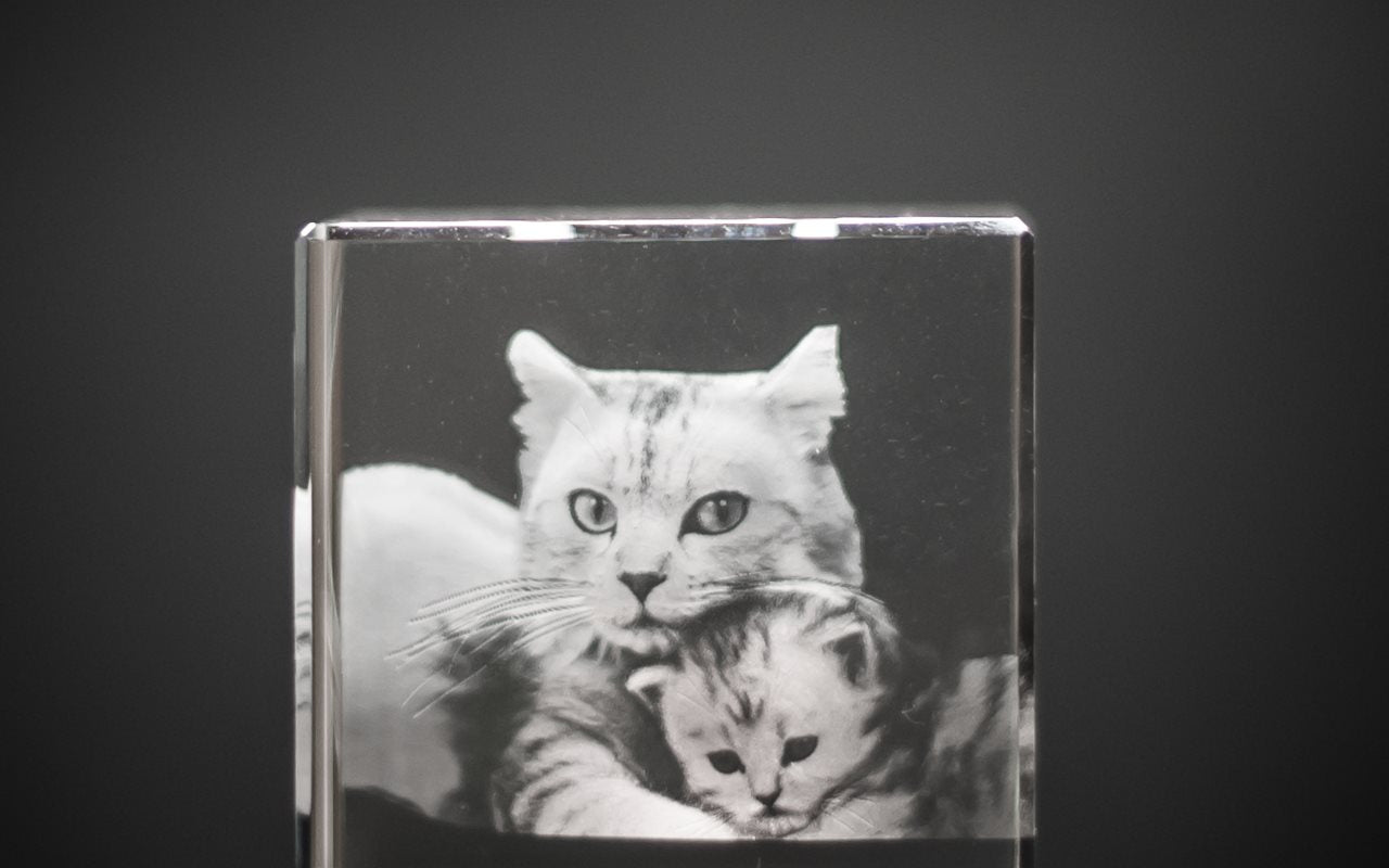 Bilde av dyret ditt i en krystall, katten eller hunden.