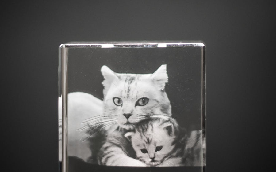Krystalube 6X6 cm
